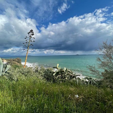 La Casina A Piombino Apartment Bagian luar foto