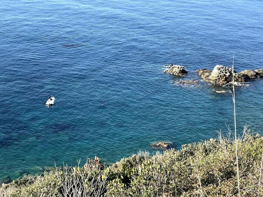 La Casina A Piombino Apartment Bagian luar foto